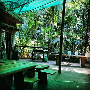 Daintree Crocodylus , Cow Bay Australia