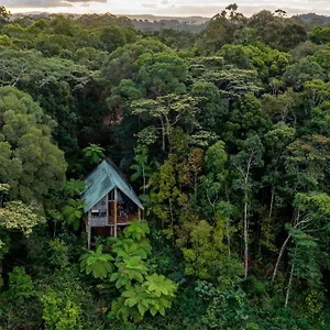 Rose Gums Wilderness Retreat , Butchers Creek Australia